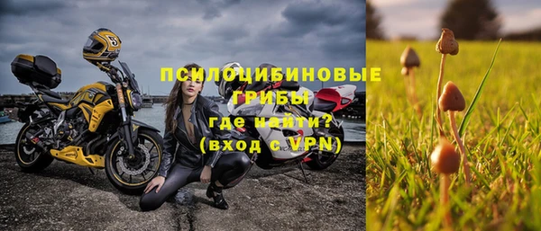 амф Балахна